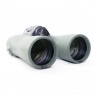 Swarovski Used Swarovski Optik 10x42 NL Pure Binoculars, Green