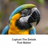 Sony Sony FE 100-400mm F5.6-8 OSS Full Frame lens for Birds, Safaris, Sports, Trains and Boats and Planes