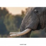 Fujifilm Fujifilm XF 400mm F4.5 R LM OIS WR lens