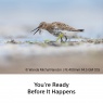 Sony Sony FE 400mm F4.5 G Master OSS Full Frame lens for Wildlife, Birds, and Sport