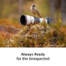 Sony Pre-order Deposit for Sony FE 600mm F6.3 G Master OSS Full Frame lens for Wildlife, Birds, and Sport