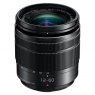 Panasonic 12-60mm f3.5-5.6 ASPH P OIS lens