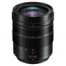 Panasonic 12-60mm f2.8-4 Leica DG Vario-Elmarit ASPH Power O.I.S. lens