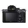 Sony Alpha 7 III Mirrorless Camera Body