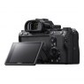 Sony Alpha 7 III Mirrorless Camera Body