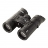 Steiner Skyhawk 4.0 10x32 Binoculars