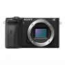 Sony Alpha 6600 Mirrorless Camera Body