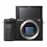 Sony Alpha 6600 Mirrorless Camera Body