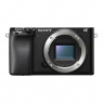 Sony Alpha 6100 Mirrorless Camera Body