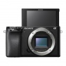 Sony Alpha 6100 Mirrorless Camera Body