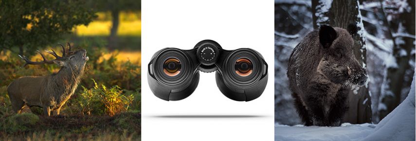 Zeiss Victory HT 8x54 T* Binoculars